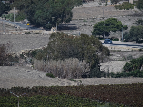 3E Mdina _DSC00240