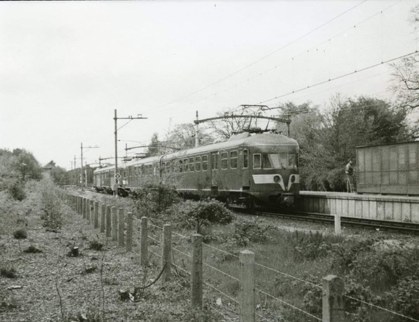 Tilburg West mei 1983. Eld 2 mat'46 stellen 275 en 242 als stoptr