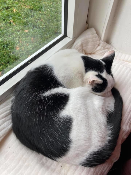 242305220_3077477935855304_308460698625376671_n