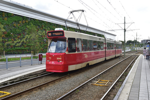 Lijn 52 aan halte Leidsenhage 9 augustus 2021.