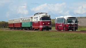 26 September 2020 MD1805 Meeuw en bus 107 Grasklokje.Ouddorp.