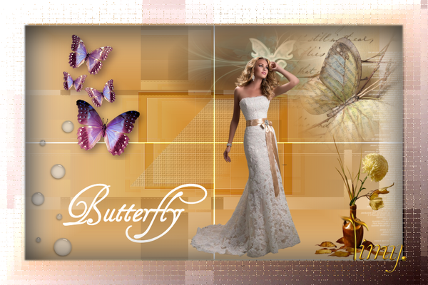 butterfly van timy