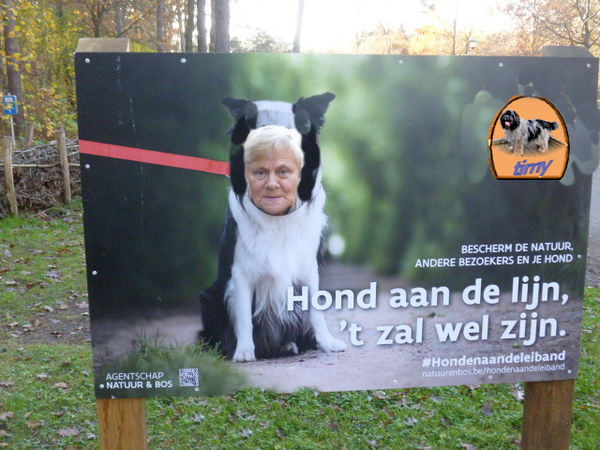 honden lijn