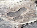 DSCF5333