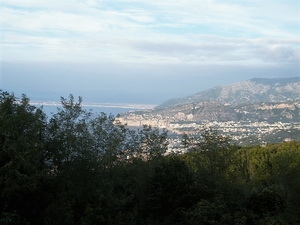 DSCF5391