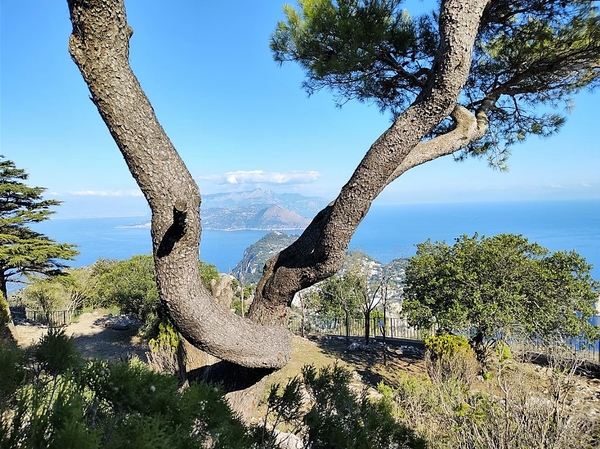 intersoc amalfikust wandelvakantie itali reisduiveltje