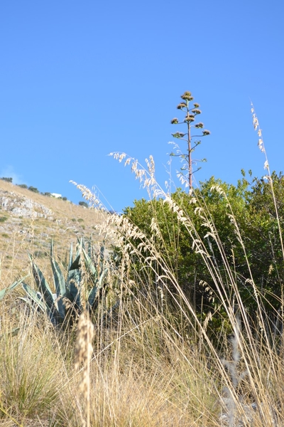 intersoc amalfikust wandelvakantie itali reisduiveltje