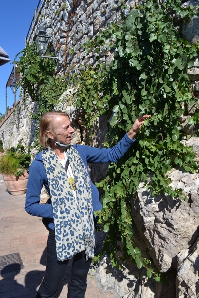 intersoc amalfikust wandelvakantie itali reisduiveltje