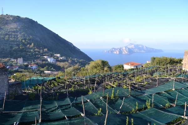 intersoc amalfikust wandelvakantie itali reisduiveltje