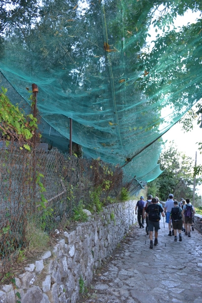 intersoc amalfikust wandelvakantie itali reisduiveltje