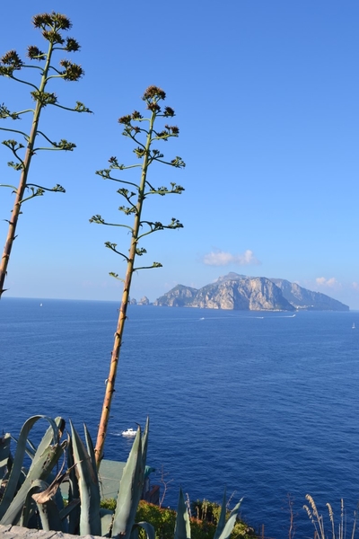 intersoc amalfikust wandelvakantie itali reisduiveltje