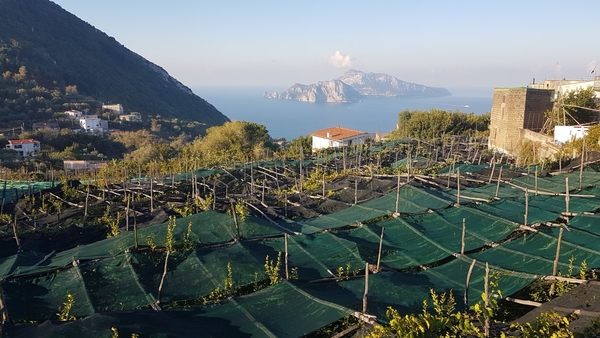 intersoc amalfikust wandelvakantie itali reisduiveltje