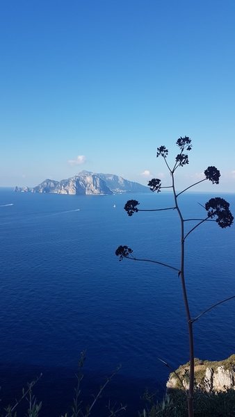 intersoc amalfikust wandelvakantie itali reisduiveltje