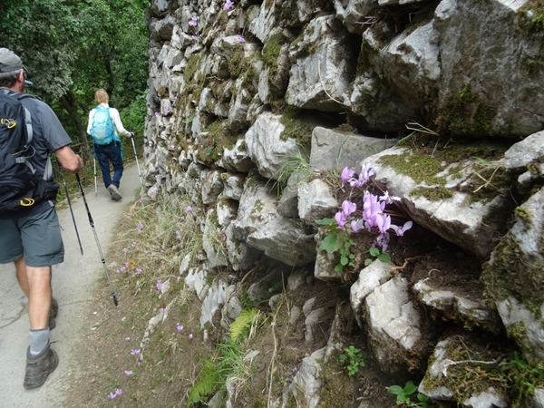 intersoc amalfikust wandelvakantie itali reisduiveltje