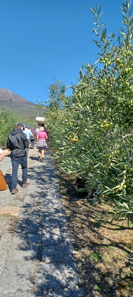 intersoc amalfikust wandelvakantie itali reisduiveltje