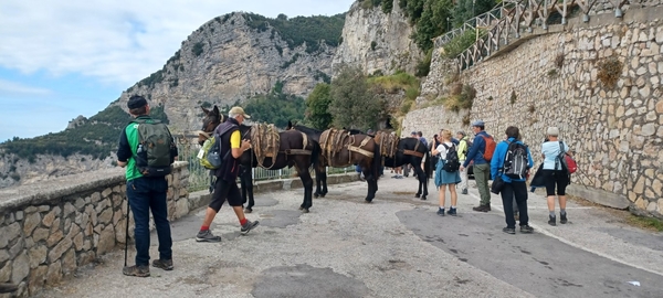 intersoc amalfikust wandelvakantie itali reisduiveltje