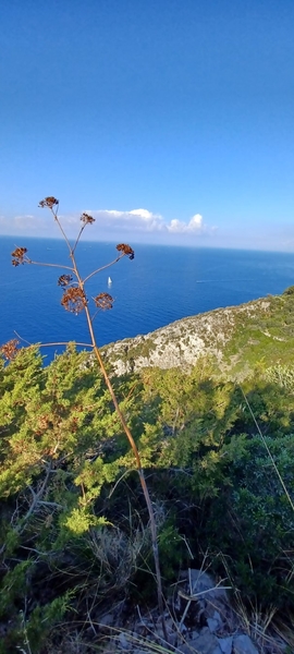 intersoc amalfikust wandelvakantie itali reisduiveltje