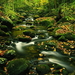 natuur-rivier-stroom-herfst-achtergrond