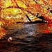 rivier-natuur-herfst-meer-achtergrond