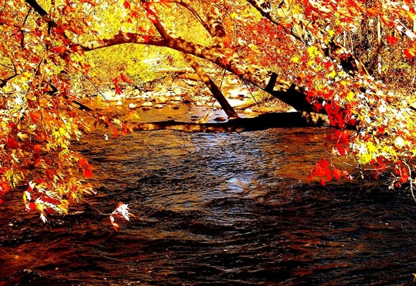 rivier-natuur-herfst-meer-achtergrond