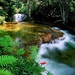 rivier-natuur-stroom-waterval-achtergrond (1)