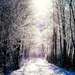 winter-sneeuw-natuur-licht-achtergrond (1)