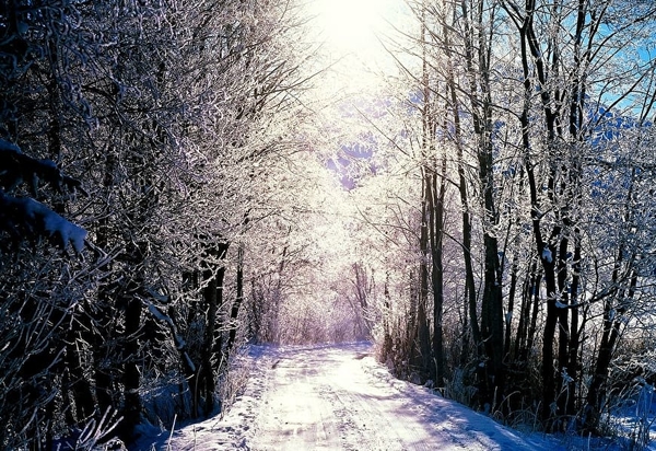 winter-sneeuw-natuur-licht-achtergrond (1)