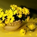 bloemen-stilleven-gele-schilderen-achtergrond