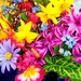 bloem-mozaiek-bloemen-boeket-bloemblad-achtergrond