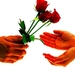 liefde-bloemen-rode-hand-achtergrond (1)