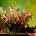 stilleven-bloemen-schilderen-kamerplant-achtergrond