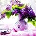 stilleven-lila-lavendel-paarse-achtergrond