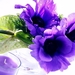 stilleven-paarse-bloemen-bloemblad-achtergrond
