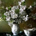 stilleven-witte-bloemen-schilderen-achtergrond