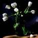stilleven-bloemen-vaas-snijbloemen-achtergrond
