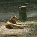 145607309_8caf0198c4