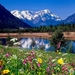 duitsland-natuur-bergen-bloemen-achtergrond