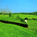 spoorweg-natuur-groene-veld-achtergrond