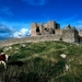 ierland-kasteel-koe-melkkoe-achtergrond (1)