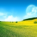veld-natuur-groene-weide-achtergrond