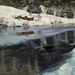 frits_thaulow_-_winter_at_the_river_simoa_-_google_art_project
