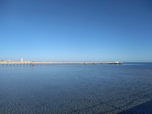 IMG_20211129_072007