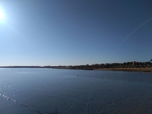 IMG_20211129_072101