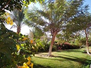 IMG_20211129_073019