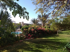 IMG_20211129_073040