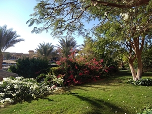 IMG_20211129_073107