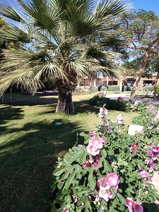 IMG_20211129_120437