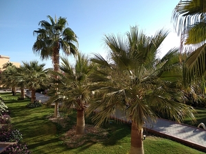 IMG_20211130_070045