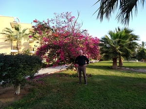 IMG_20211201_061807