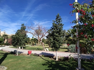 IMG_20211203_111553